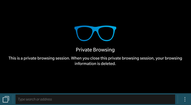 Private browsing session